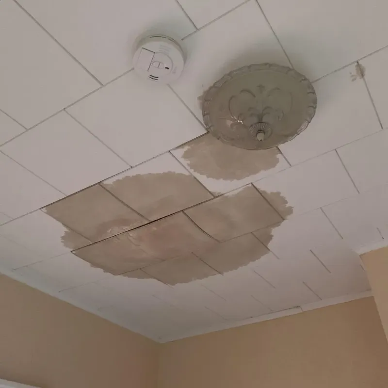 Ceiling Water Damage Repair in West Newton, PA