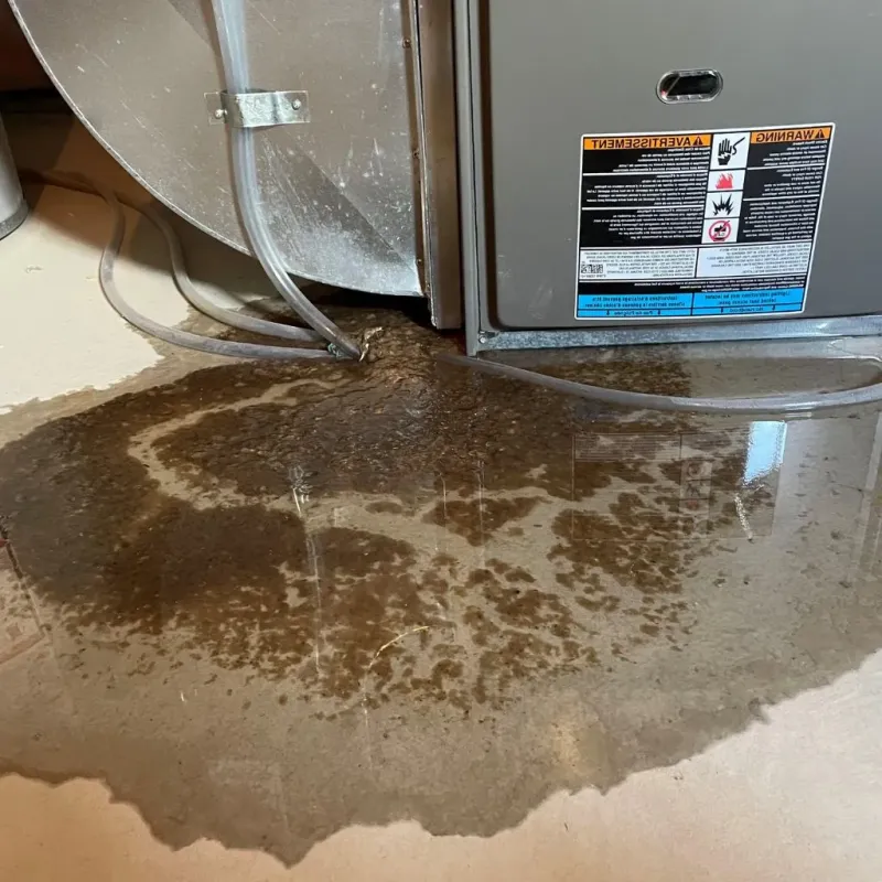 Pipe Burst and Leak Restoration in West Newton, PA