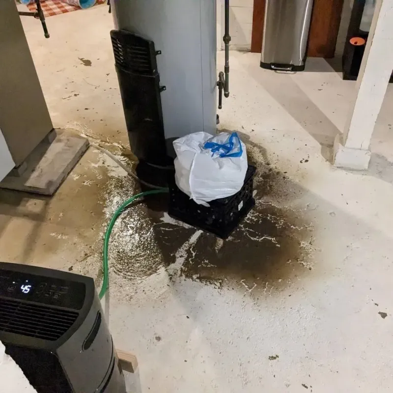 Sewage Backup Cleanup Service in West Newton, PA